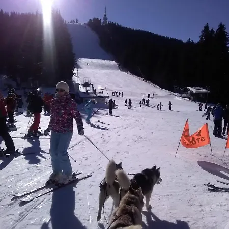 Шалета 2 Bedroom, 2 Showeroom Suitable For A Family Skication And Remote Working *