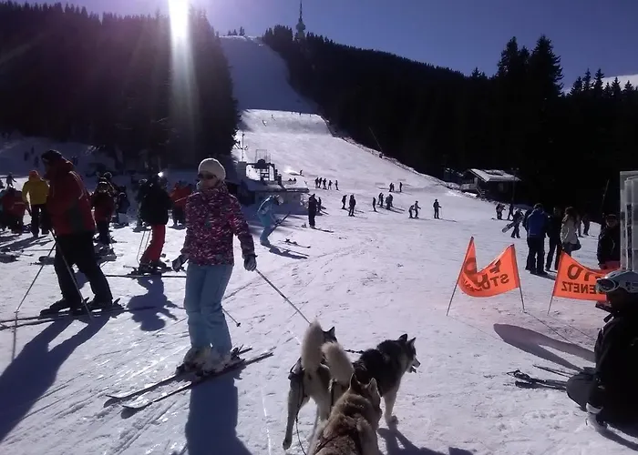 샬레 2 Bedroom, 2 Showeroom Suitable For A Family Skication And Remote Working *